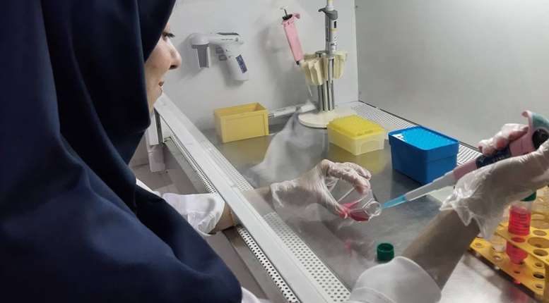 انجام تست های مربوط به کشت سلولی در پژوهشکده سلولی و مولکولی